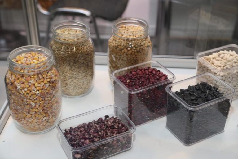 future sun grains future sun grains