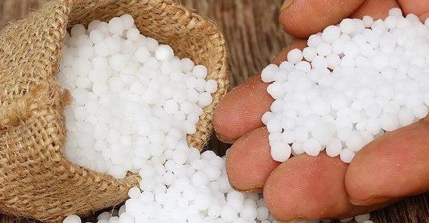 future sun urea future sun urea