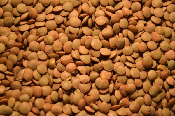 lentils