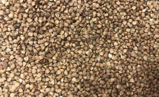 future sun BUCKWEAT future sun BUCKWEAT